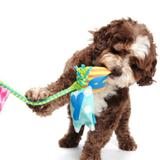 Bark Happy Yay Banner