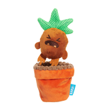 Bark Harry Potter Mandrake