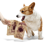 Bark Harry Potter Marauder’s Map