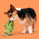 Bark Karri Crocodile