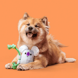 Bark Koa Koala