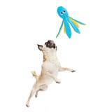 Bark Odd Otto