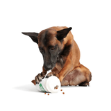 Bark Pupkin Spice Yappucino