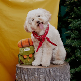 Bark Rowdy Ruckus Rucksack