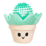 Bark Suki Succulent
