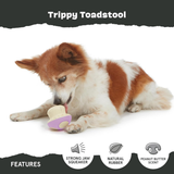 Bark Trippy Toadstool