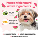 Buddycare Watermelon Dog Shampoo