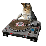 Cat Playhouse Scratch DJ Cat
