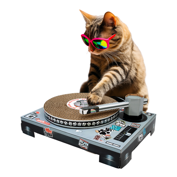 Cat Playhouse Scratch DJ Cat