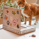 Cat Playhouse Scratch Laptop