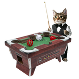 Cat Playhouse Scratch Pool Table