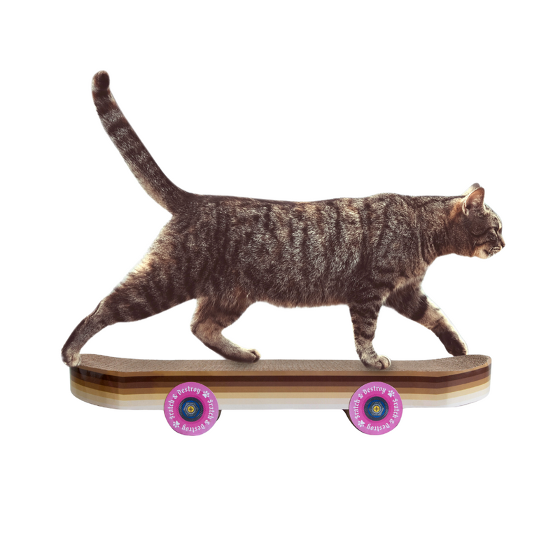 Cat Playhouse Scratch Skateboard