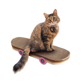 Cat Playhouse Scratch Skateboard