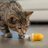 Catstages Dental Banana