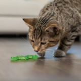 Catstages Orkakat Catnip Wiggle Worm