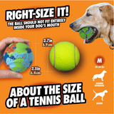 Chuckit Eco Fetch Day 18M Sport Launcher