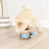 Chuckit Holee Bone Blue