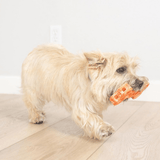 Chuckit Holee Bone Orange