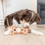 Chuckit Holee Bone Orange