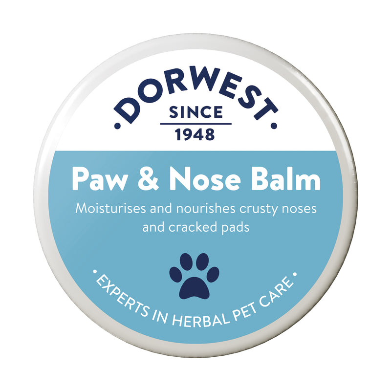 Dorwest Herbs Paw & Nose Balm