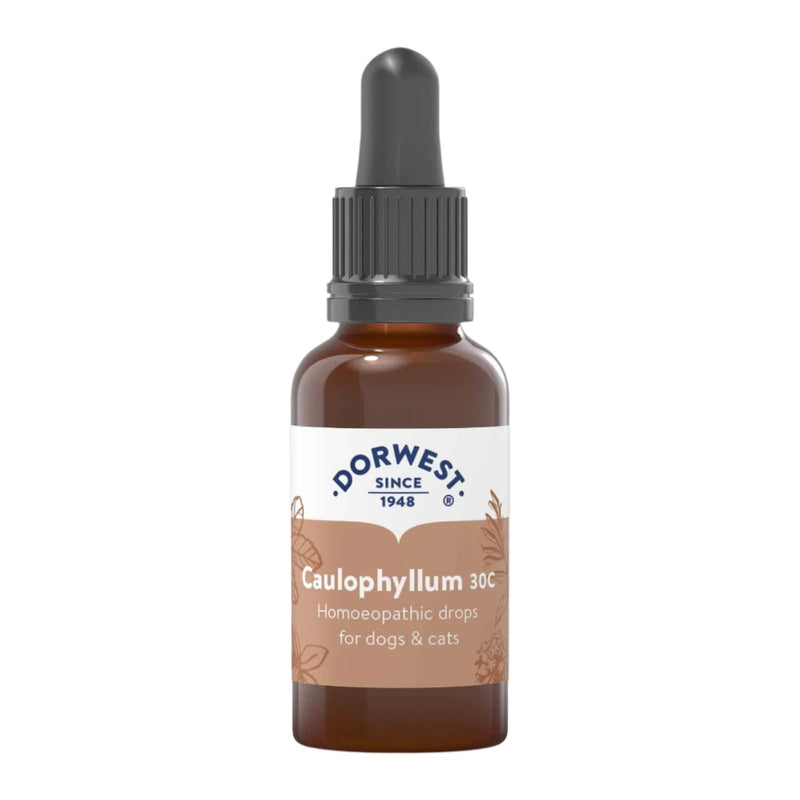 Dorwest Homoeopathic Caulophyllum 30c