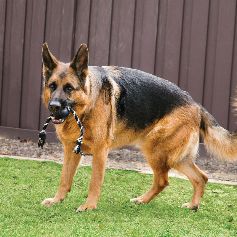 KONG Extreme Ball with Rope