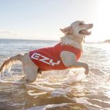 Ezydog Rashie Shirt