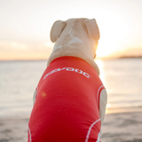 Ezydog Rashie Shirt