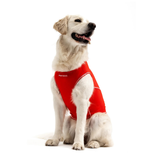 Ezydog Rashie Shirt