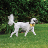 Fabdog Faball Bumble Bee