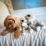 Fabdog Floppy Koala
