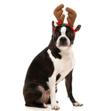 Fuzzyard Reindeer Antlers