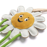 Green & Wilds Crazy Daisy