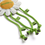 Green & Wilds Crazy Daisy