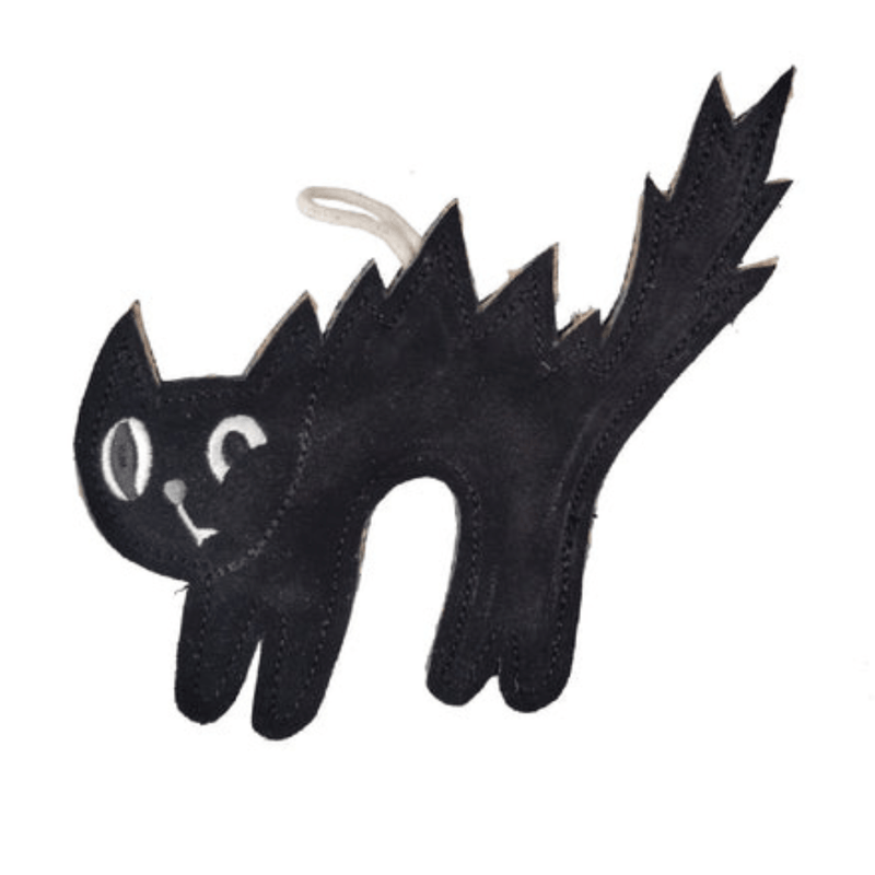 Green & Wilds Halloween Scaredy Cat