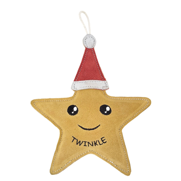 Green & Wilds Twinkle the Star - Eco Toy for Dogs
