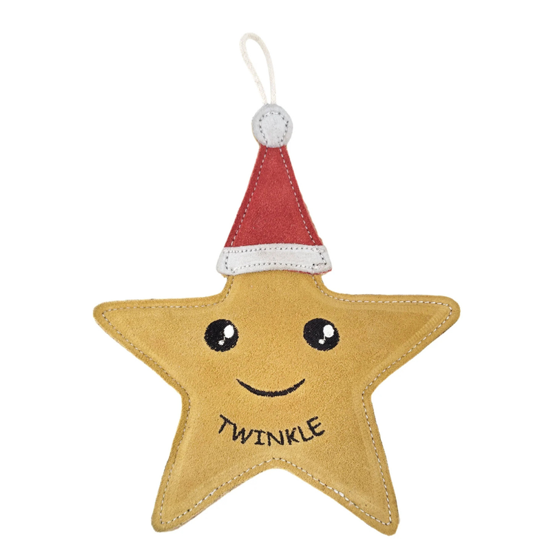 Green & Wilds Twinkle the Star - Eco Toy for Dogs