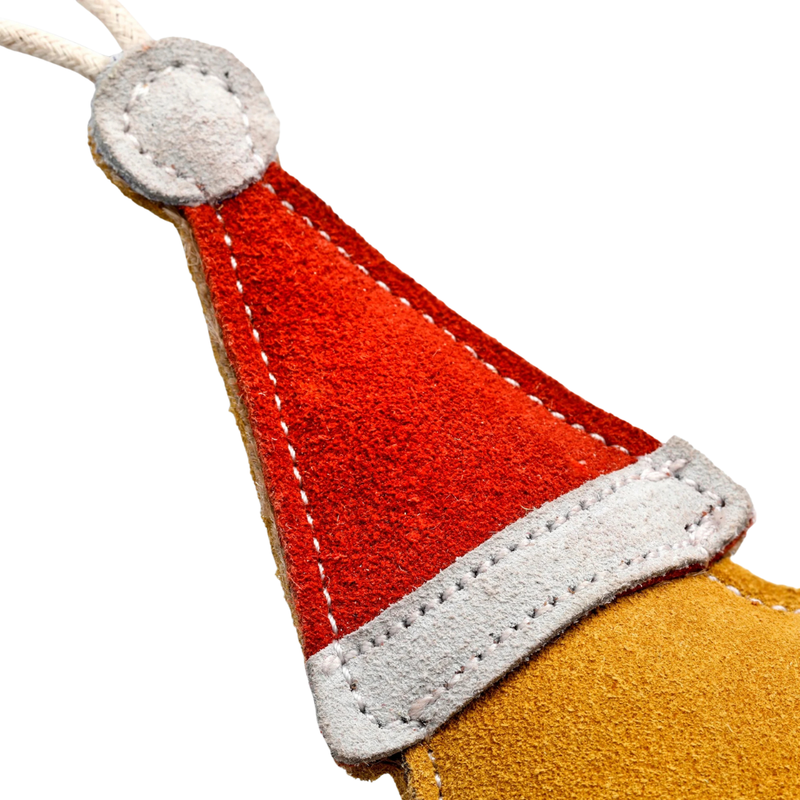 Green & Wilds Twinkle the Star - Eco Toy for Dogs