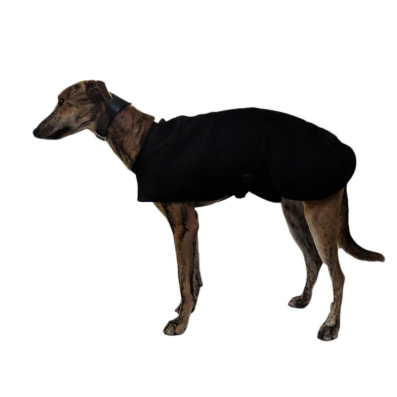 HOTTERdog Coat Black