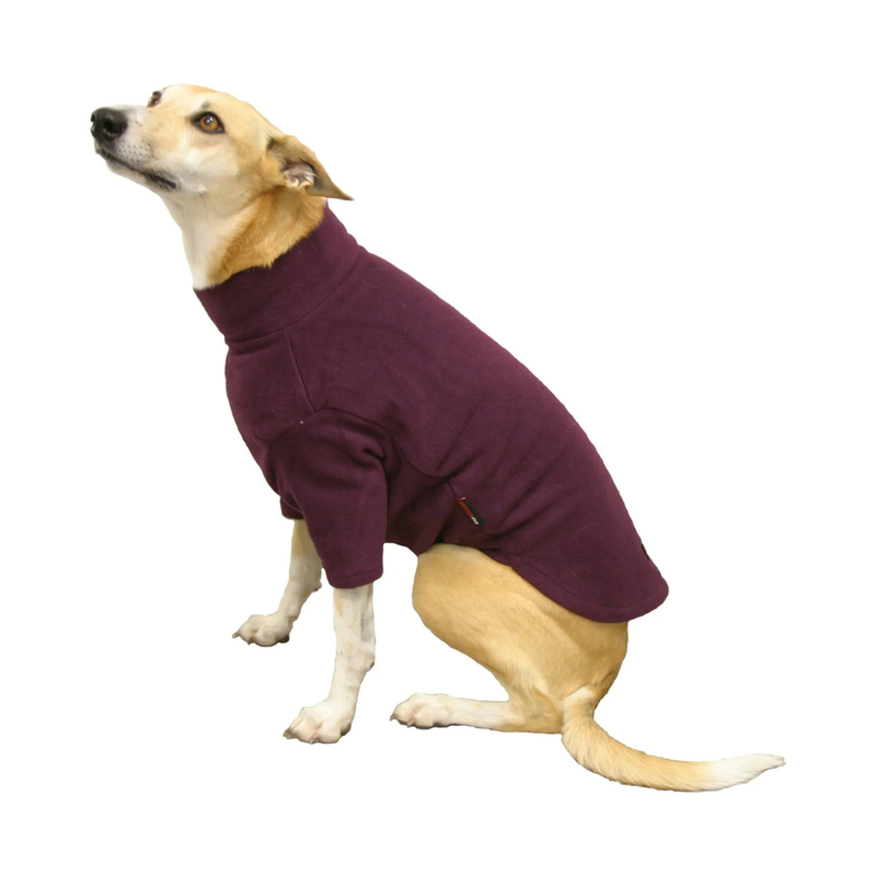 HOTTERdog Jumper Grape