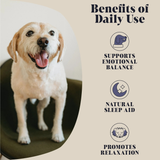 Hackney Dog House Calming Goats Milk