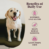 Hackney Dog House Fibre Gland For Dogs