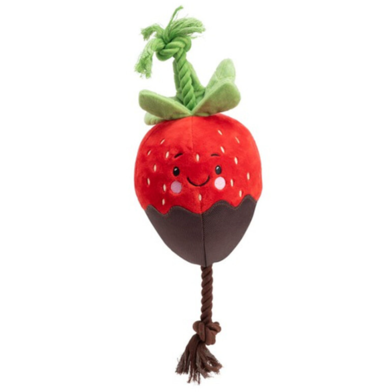 House of Paws Chocolate Dipped Strawberry