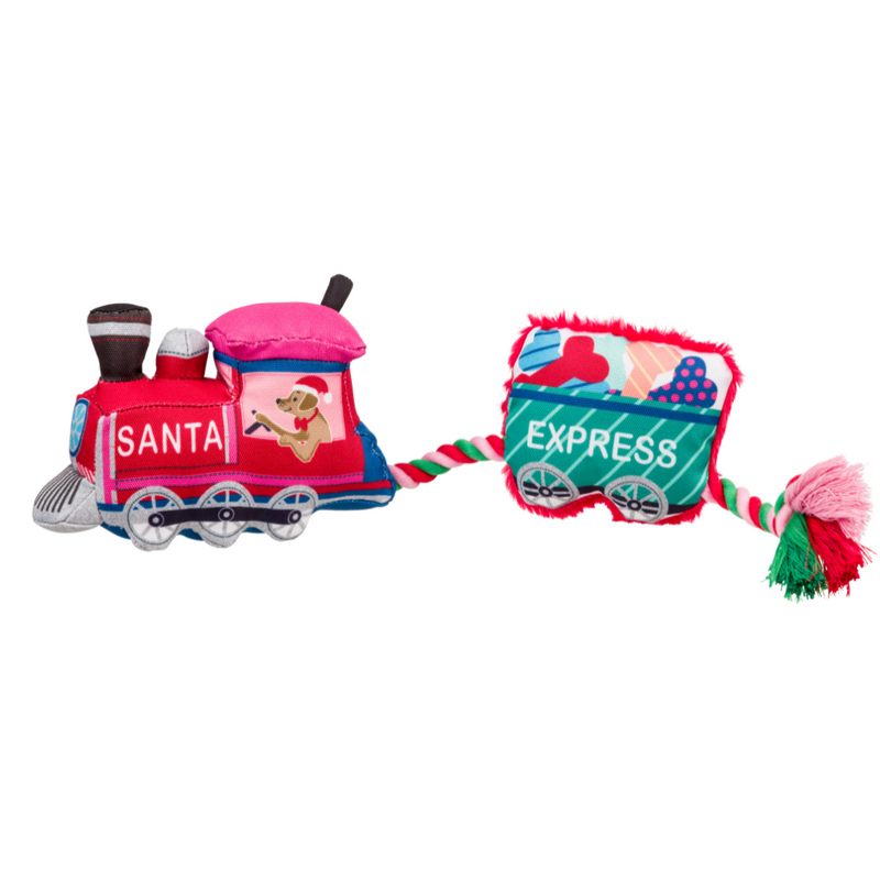 House of Paws Merry & Bright Santa Paws Express