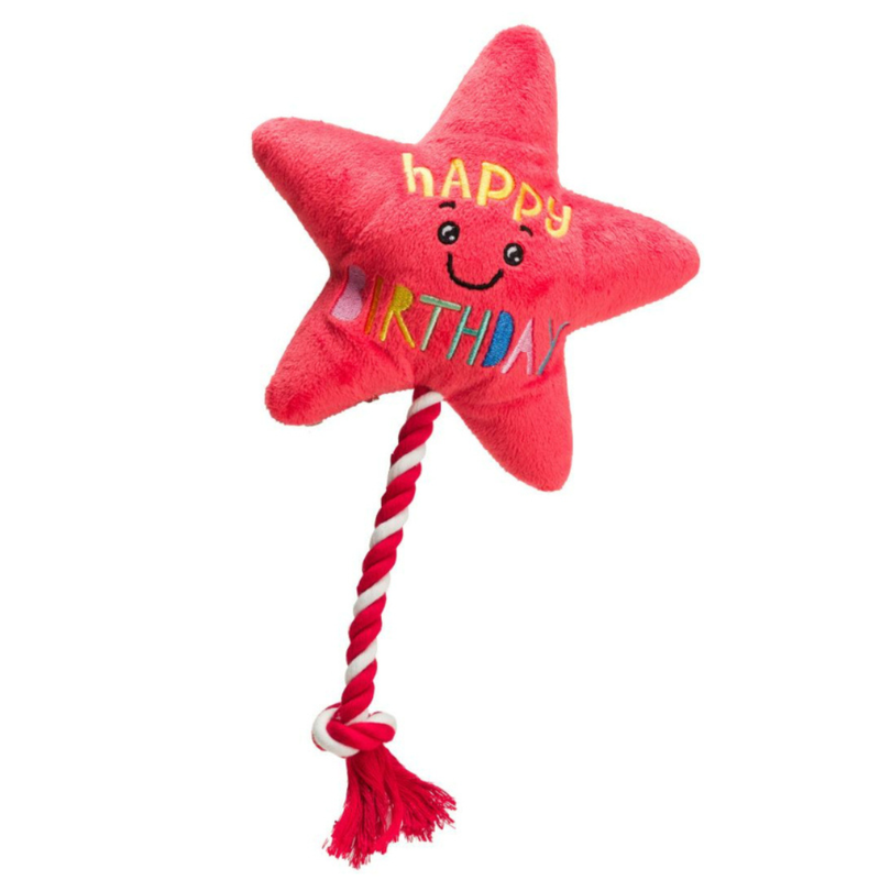 House of Paws Star Balloon With Rope