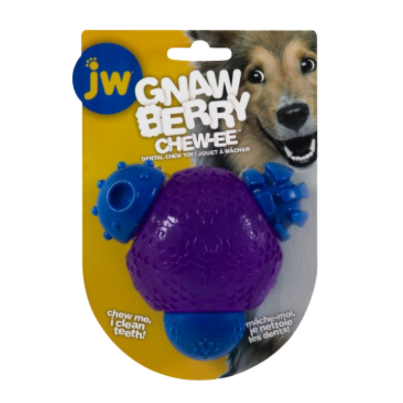 JW Dog Gnawberry Chew-ee treat dispensing dog toy with scrubber knobs, designed for dental cleaning and interactive play.