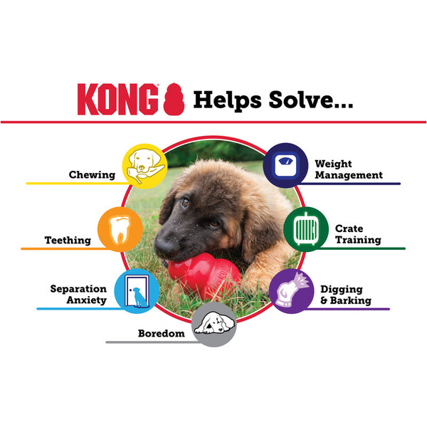 Dog chewing on a red KONG Classic toy for interactive play and mental stimulation.