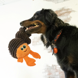 KONG Cuteseas Rufflez Hermit Crab