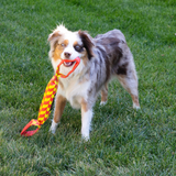 KONG Maxx Tug – Ultra-Durable Tug Toy for Dogs