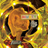 KONG Play Spaces Rave Cave – Interactive Disco Tunnel for Cats